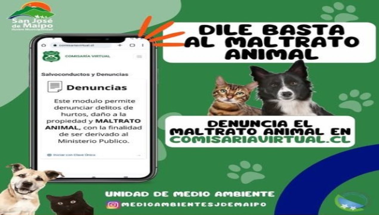 /provincial/rescatan-a-dos-cachorros-en-situacion-de-maltrato