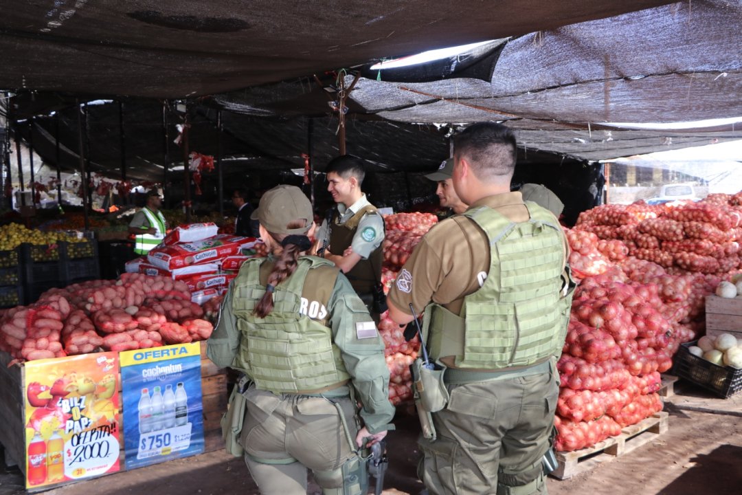 /fiscalizacion-intersectorial-detecta-graves-irregularidades-en-galpon-de