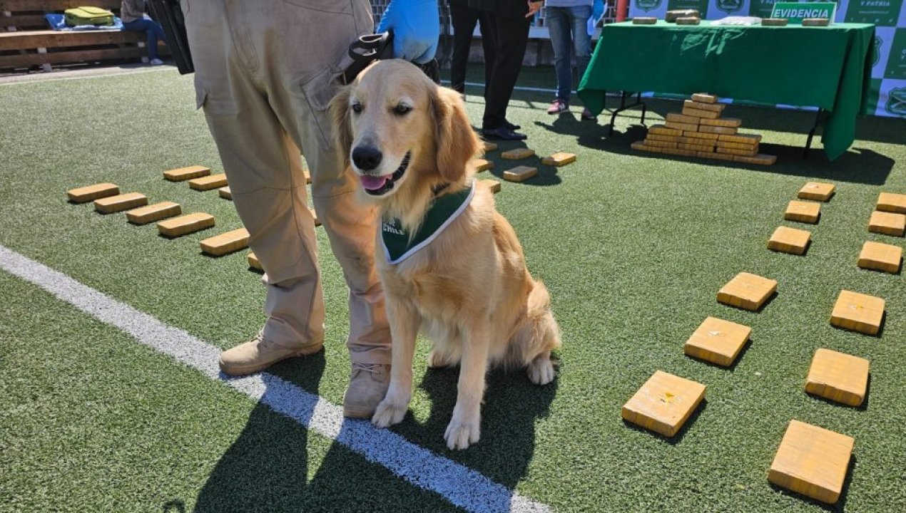 /antofagasta-interceptan-casi-mil-millones-de-pesos-en-drogra-en-el-sector