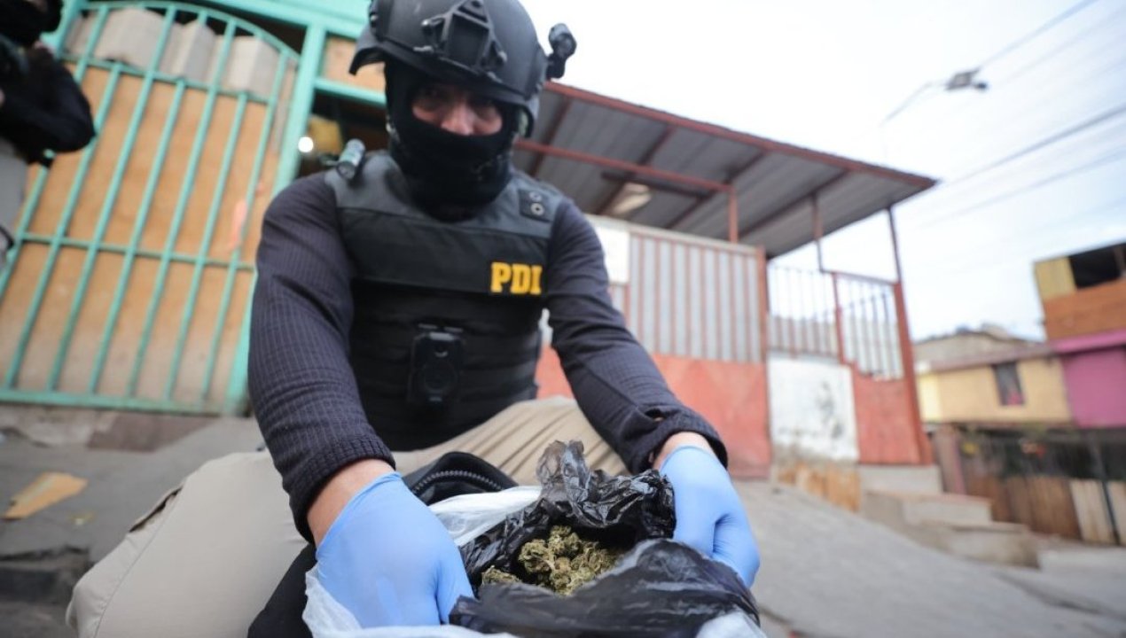 /operativo-antidrogas-deja-12-detenidos-y-millonaria-incautacion-en