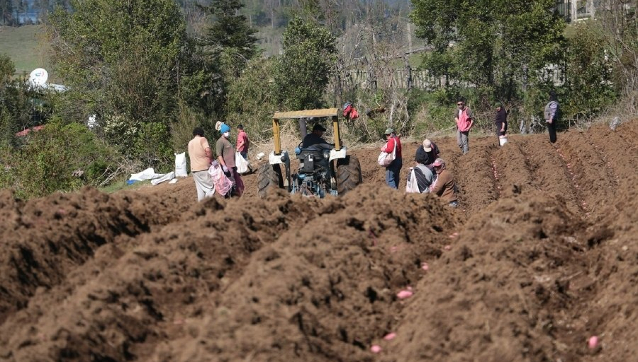 /municipalidad-de-arauco-e-indap-refuerzan-trabajo-conjunto-en-beneficio-del