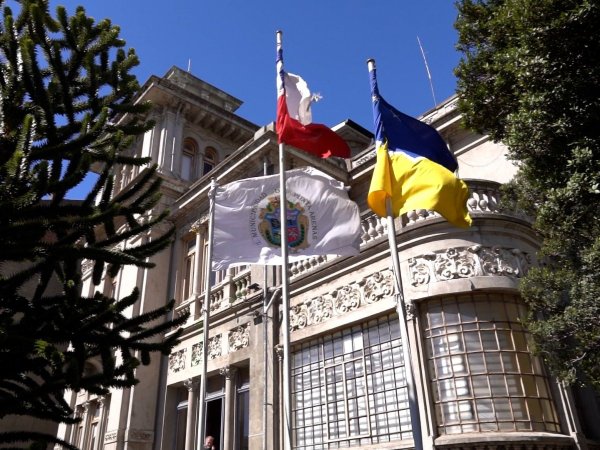 Municipalidad de Punta Arenas alcanza 100% en normas de transparencia activa