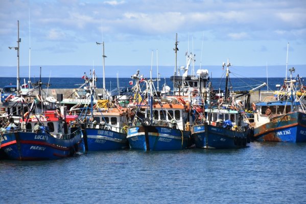 Seremi de salud informa de situación de marea roja en la provincia de Última Esperanza