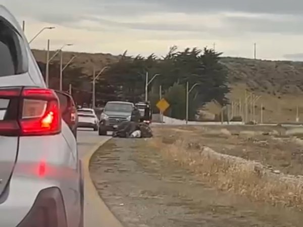 Carabineros de Porvenir detiene a prófugo de la justicia con amplio prontuario en la Provincia de Tierra del Fuego