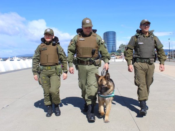 Carabineros de la 1ª Comisaría Punta Arenas presenta a su nuevo can de Orden y Seguridad