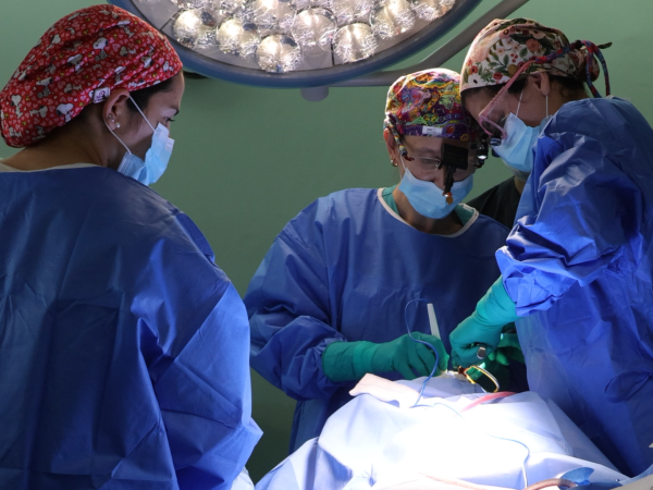 Hospital Clínico Magallanes fortalece atención infantil con nueva Ronda Plástica Infantil junto a Hospital Luis Calvo Mackenna