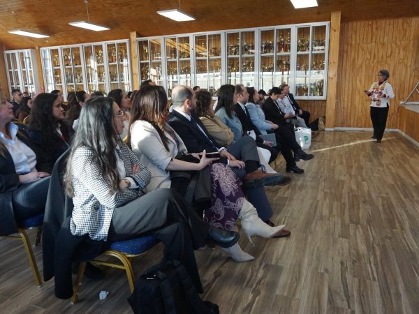 Innovación, identidad y estrategia: las claves que podrían definir el futuro del turismo en Magallanes