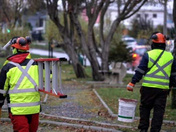 Municipio de Punta Arenas inició temporada de podas