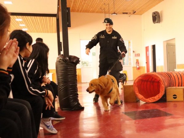 Seremi de Salud Magallanes y gendarmería refuerzan mensajes de tenencia responsable de mascotas en establecimientos educacionales