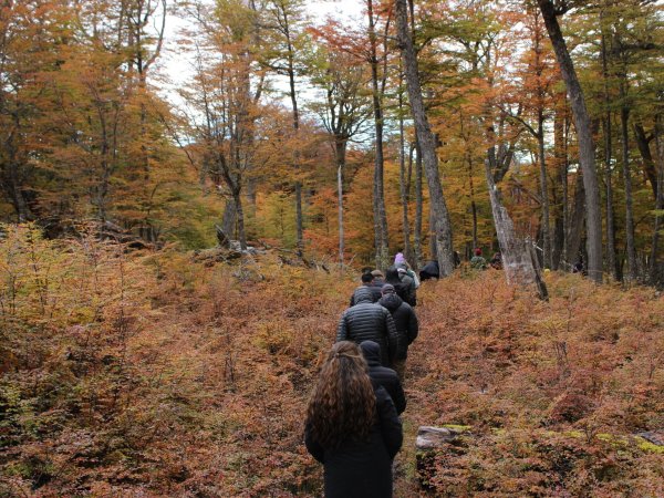 Parque Karukinka abre convocatoria para nuevo programa de voluntariado en Tierra del Fuego