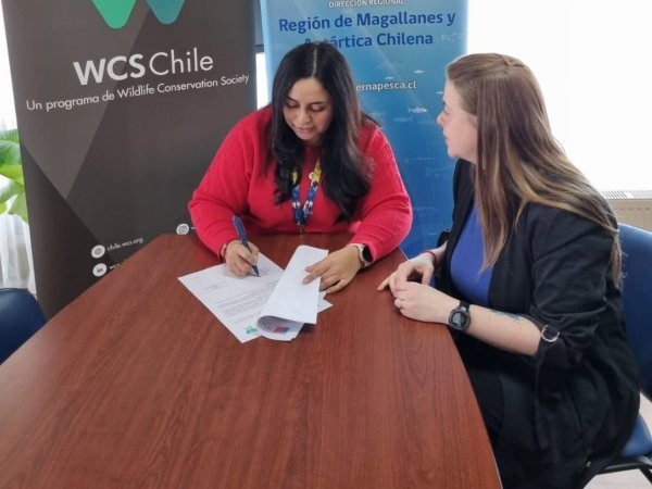 Sernapesca y WCS Chile fortalecen alianza para la conservación marina en Magallanes