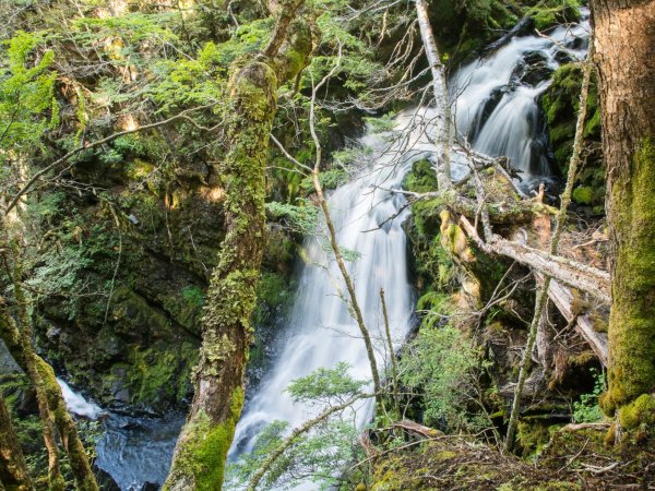 Parque Karukinka releva el patrimonio biocultural de Tierra del Fuego en el Día Internacional de los Pueblos Indígenas