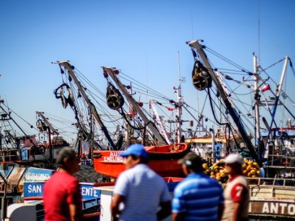 Polémica entre expertos y Subpesca por la Ley de Fraccionamiento pesquero