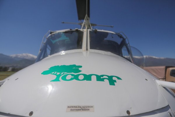 CONAF activa botón rojo para 144 comunas de Chile ante riesgo de incendios forestales