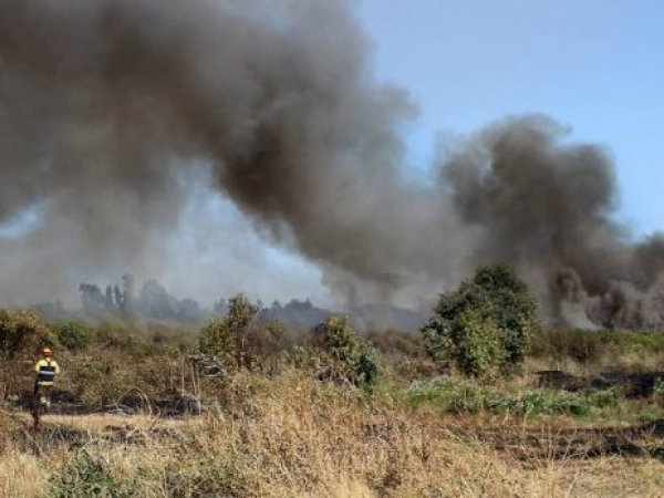 Incendios en Ñuble y Biobío: Presidente Boric viajará a la zona bajo estado de catástrofe
