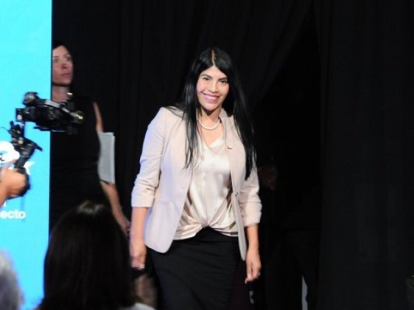 La ministra de Ciencia confirmó que el Ejecutivo decidió suspender durante 2026 las becas de magíster y programas de postdoctorado en el extranjero