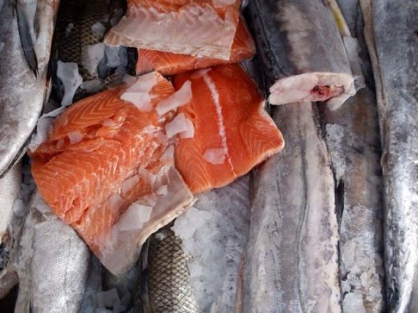Sernac fiscaliza venta de pescados y mariscos congelados por Semana Santa