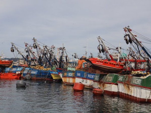 Bono de apoyo para la pesca artesanal por alza de combustibles