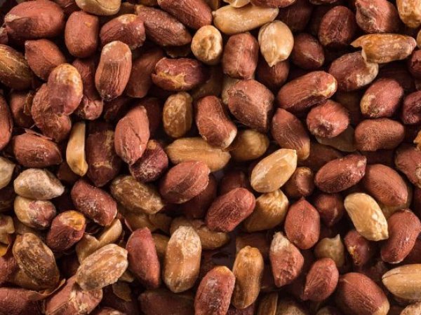 Minsal emite alerta alimentaria por presencia de aflatoxinas en maní tostado